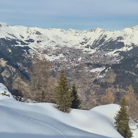 Winter With Stunning View *