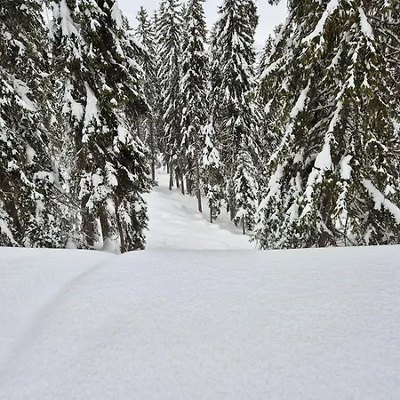 Winter With Stunning View *