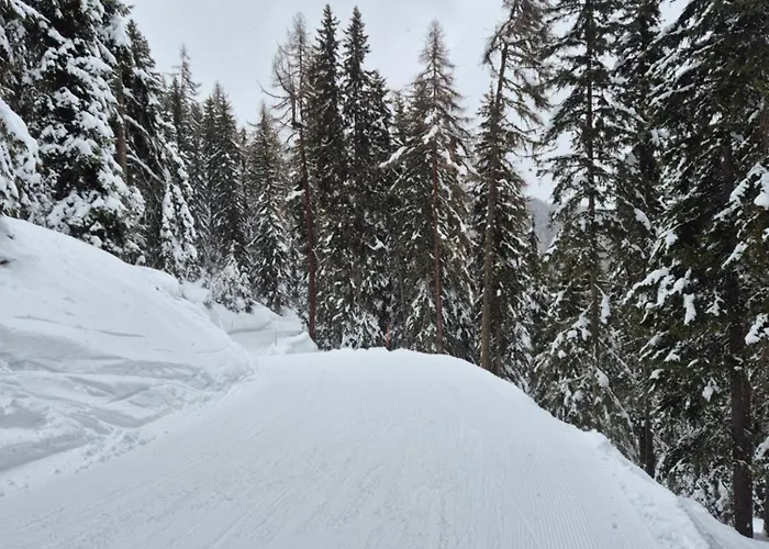 公寓 Winter With Stunning View *