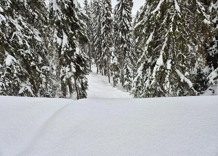 Winter With Stunning View *