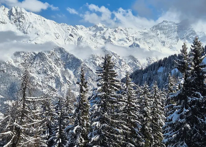 Winter With Stunning View *