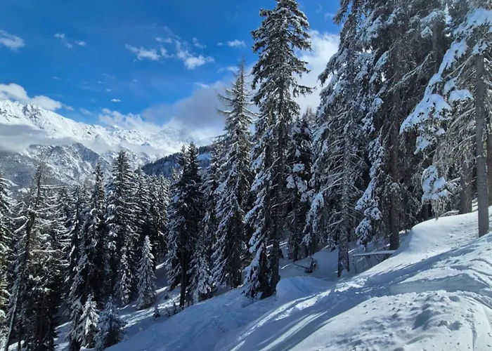 Winter With Stunning View Apartment