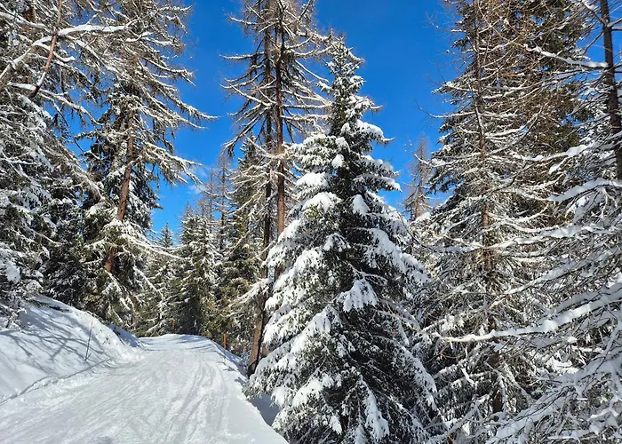 Winter With Stunning View *