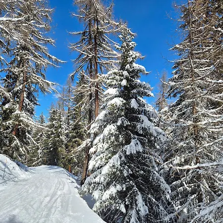 Winter With Stunning View *