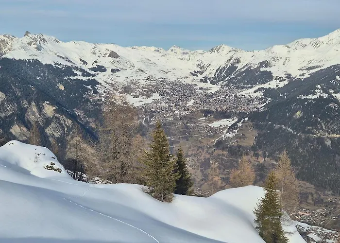 Winter With Stunning View *