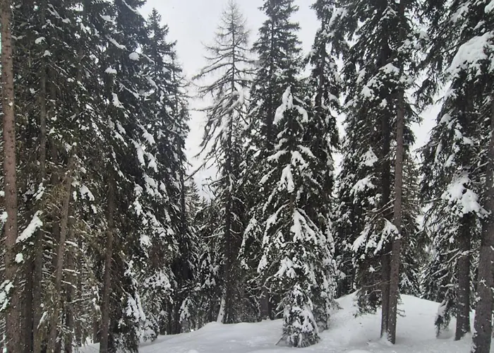 Apartment Winter With Stunning View Bruson