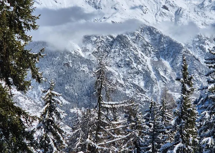 Winter With Stunning View Apartment