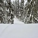 Winter With Stunning View *