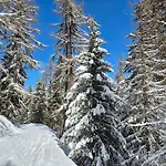 Winter With Stunning View *